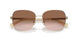 911613 - Gold - Gradient Brown