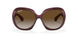 6593T5 - Brown - Grey Gradient Brown Polar