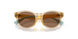 575673 - Yellow - Dark Brown