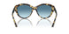 500419 - Tortoise - Gradient Blue