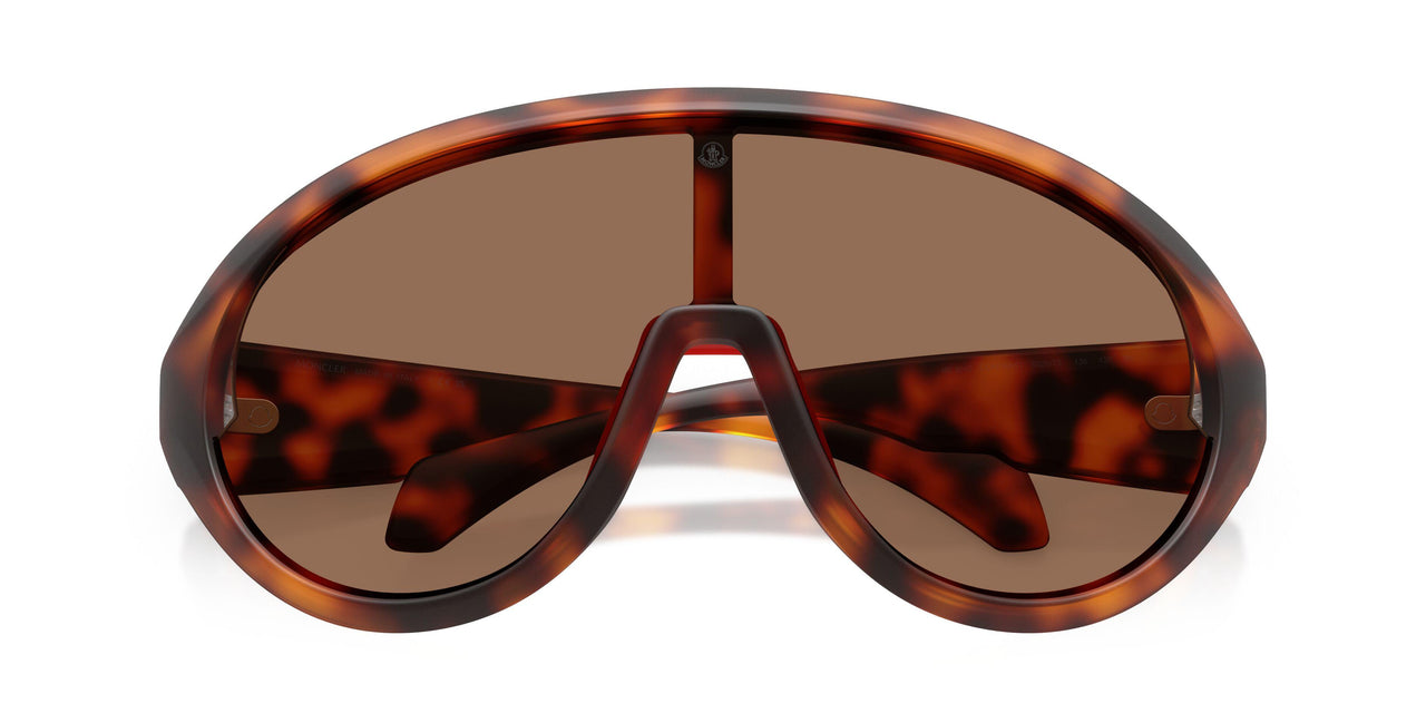 502673 - Tortoise - Solid Brown