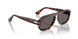 24/B1 - Tortoise - Dark Grey