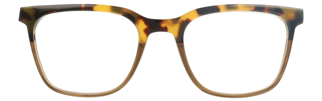 TRGD - Tortoise Gradient