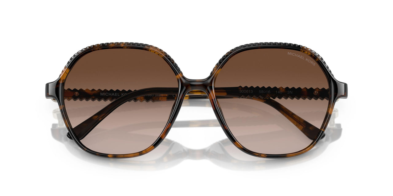 300613 - Tortoise - Brown Gradient