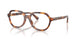 Polo 2310U Eyeglasses