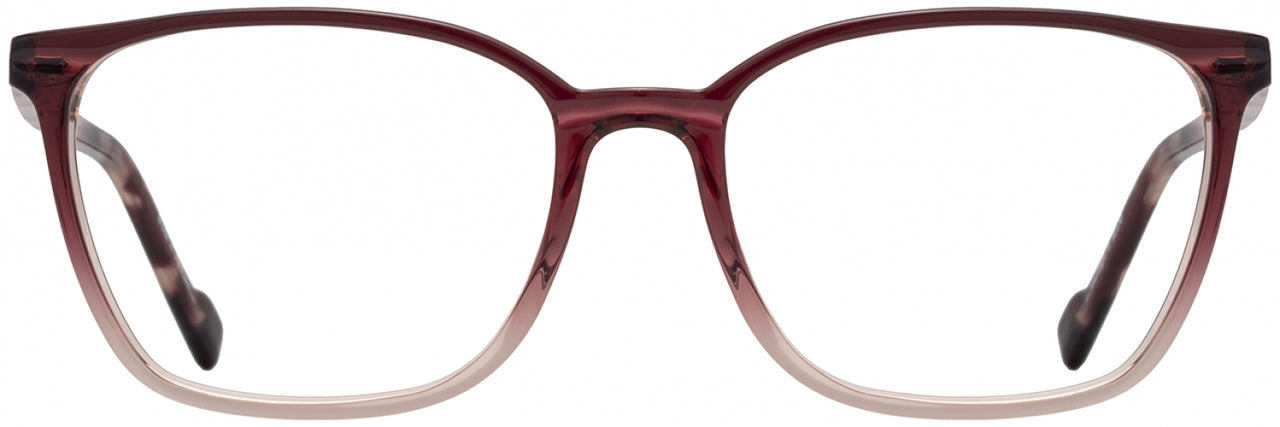 5 - Berry Fade / Berry Tortoise
