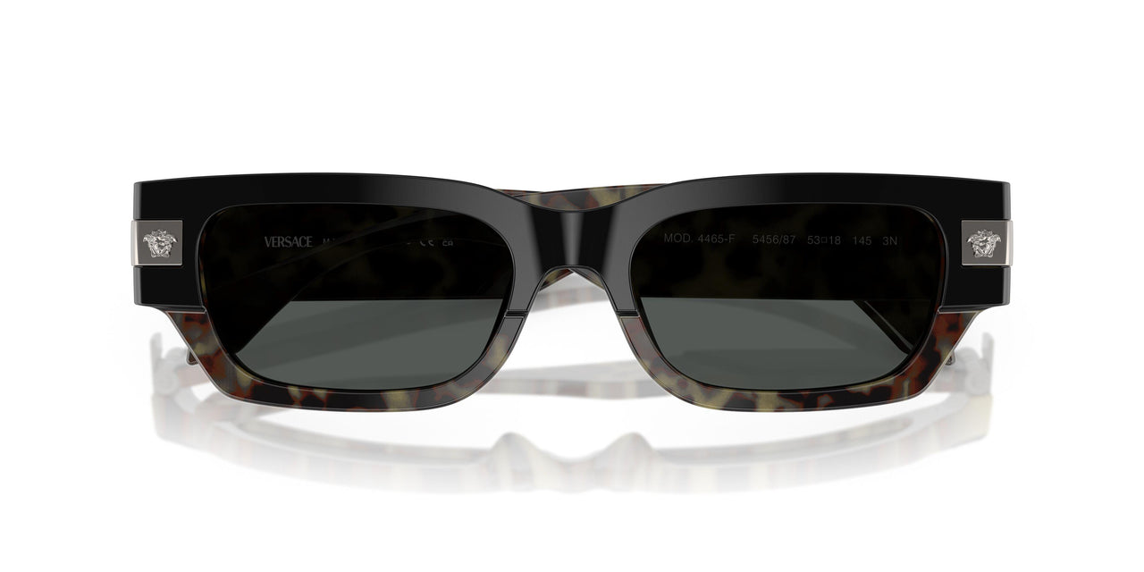 545687 - Tortoise - Dark Grey