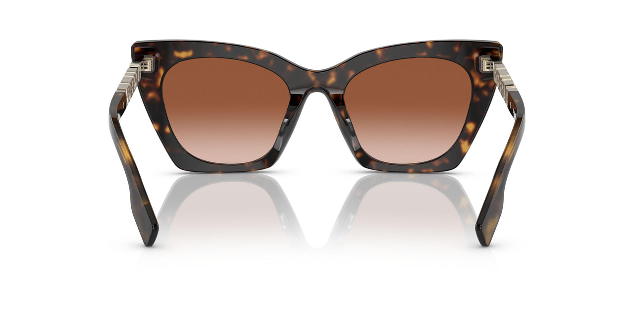 300213 - Brown - Brown Gradient