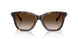 80153B - Tortoise - Brown Gradient
