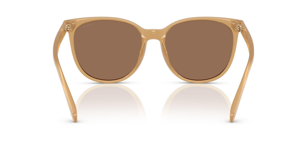 585473 - Brown - Brown Solid