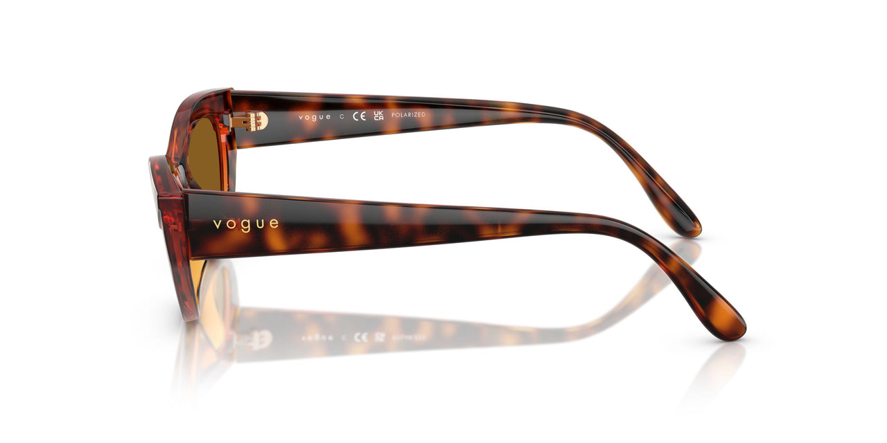 W65683 - Brown - Dark Brown Polar