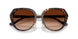 512074 - Tortoise - Brown Gradient