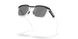 953306 - Black - Prizm Black Polarized
