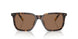 500373 - Tortoise - Dark Brown