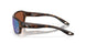 911908 - Tortoise - Green Mirror