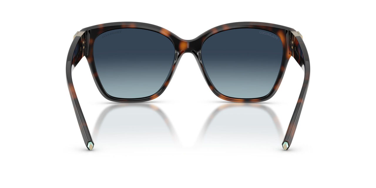 84554U - Tortoise - Azure Gradient Blue Polarized