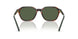 63159A - Tortoise - Polar Green