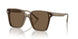 505173 - Brown - Dark Brown