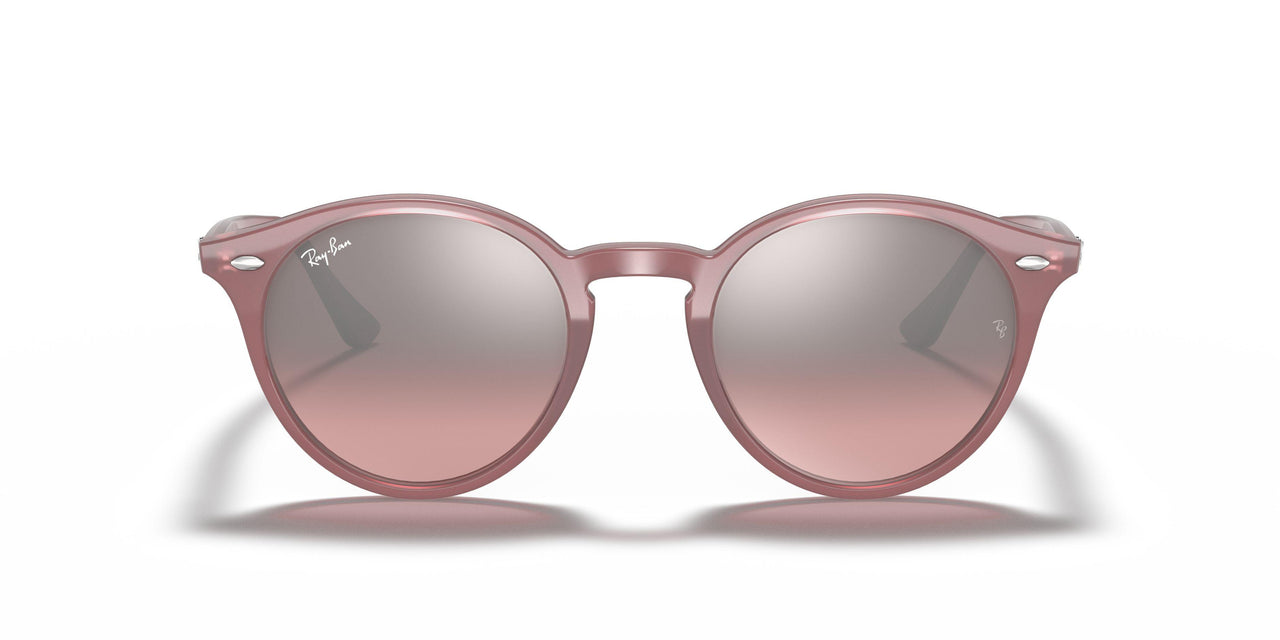 616613 - Turtledove - Brown Gradient