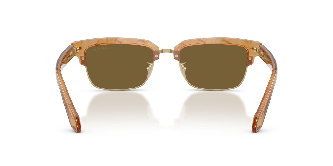 630073 - Tortoise - Dark Brown