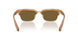630073 - Tortoise - Dark Brown