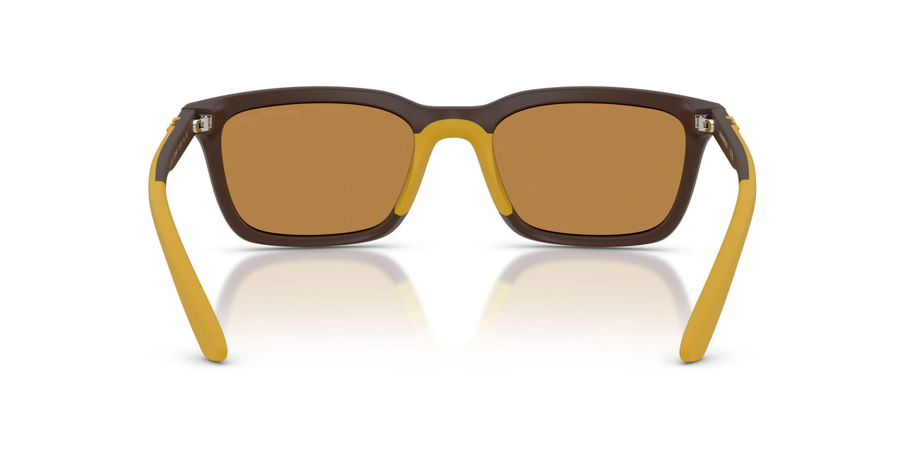 625893 - Brown - Light Brown
