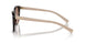 07R0A6 - Tortoise - Brown Gradient