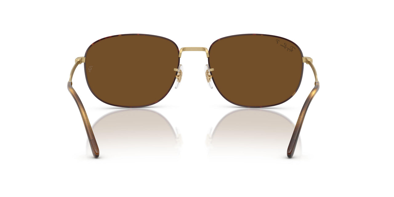 927557 - Havana - Polar Brown
