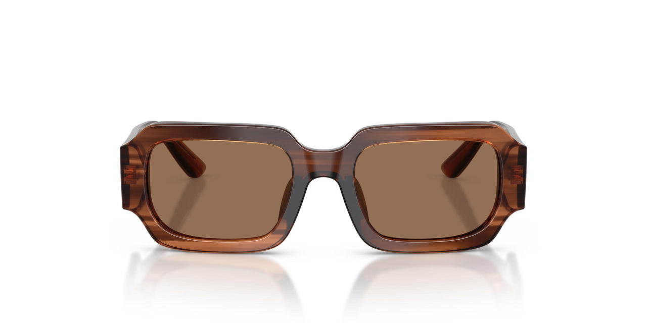 348173 - Brown - Dark Brown