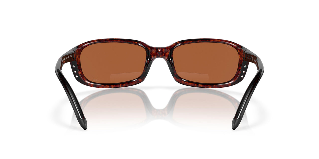 000202 - 10 Tortoise - Green Mirror 580pc-mate 1.50