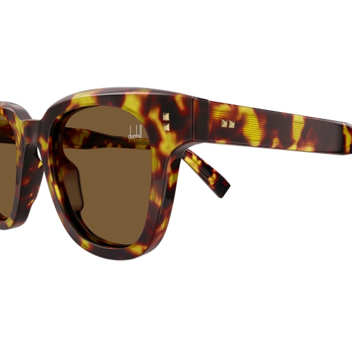 002 - Havana - Brown
