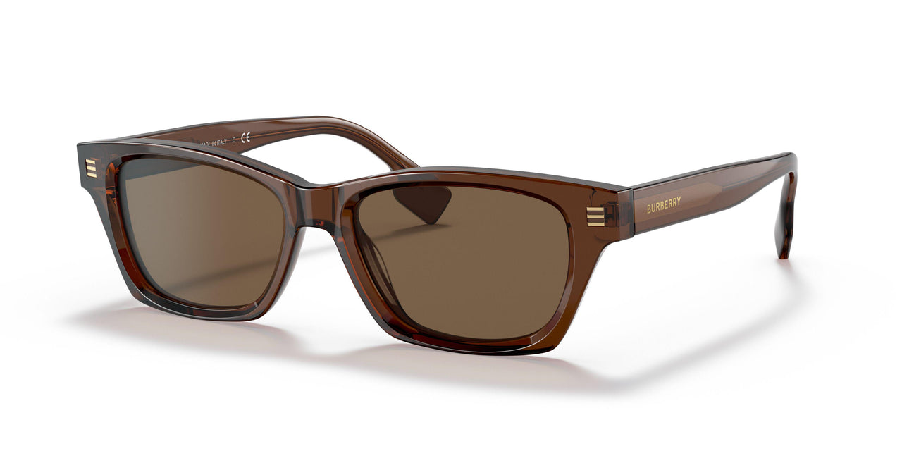 398673 - Brown - Dark Brown