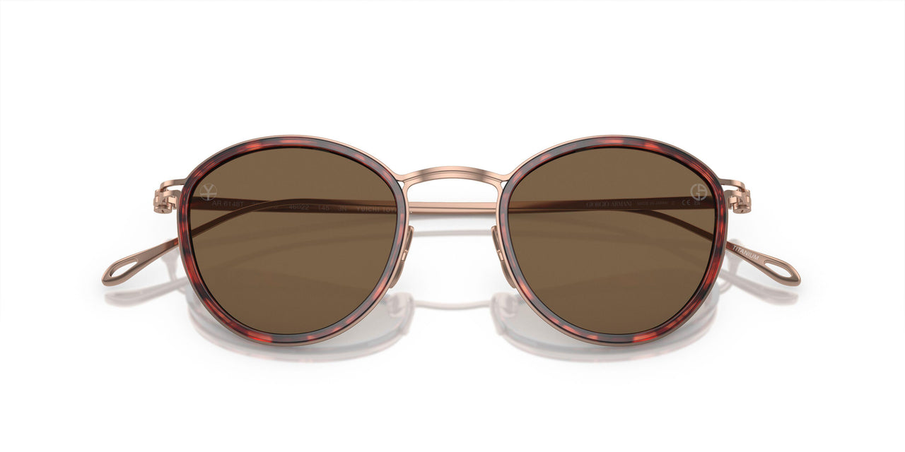 333573 - Tortoise - Dark Brown