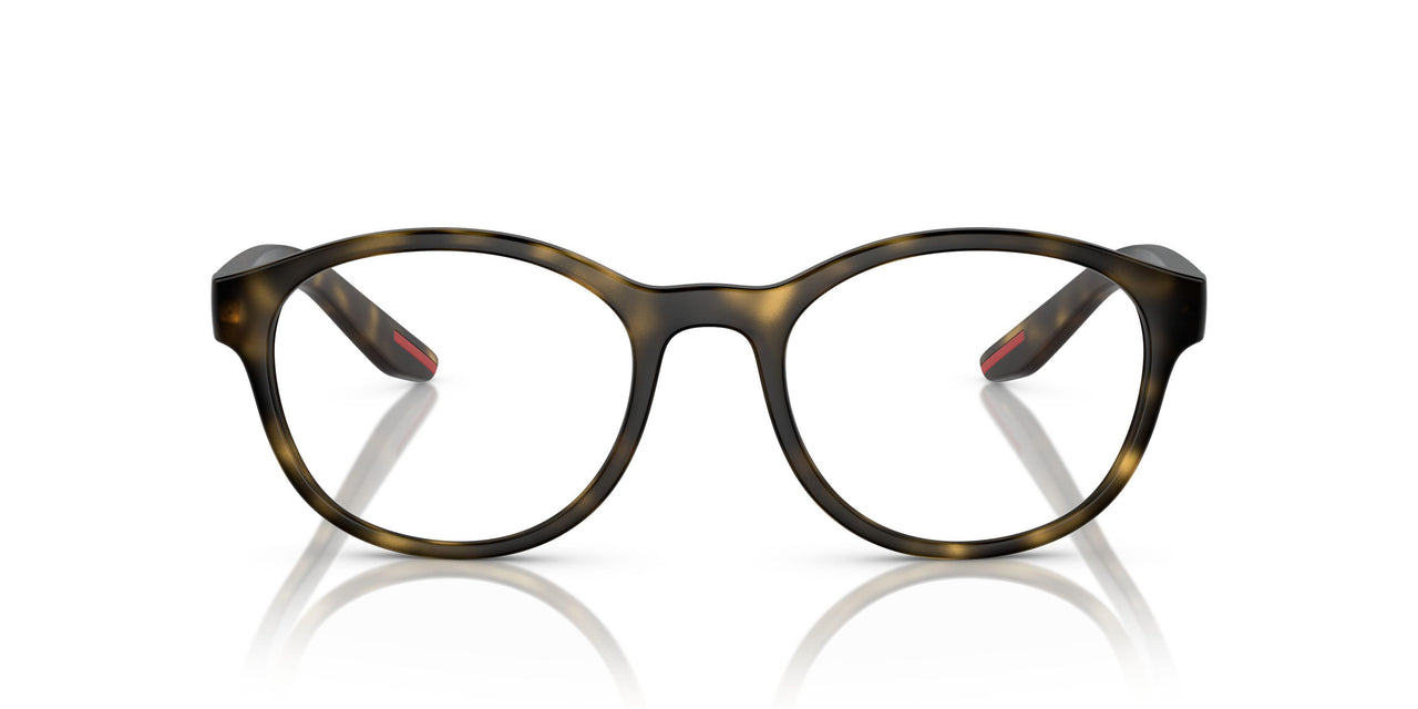 5811O1 - Tortoise
