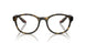 5811O1 - Tortoise