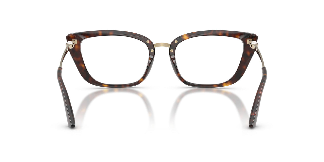 5002 - Tortoise