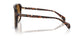 304889 - Tortoise - Gradient Brown