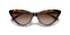 300613 - Tortoise - Brown Gradient
