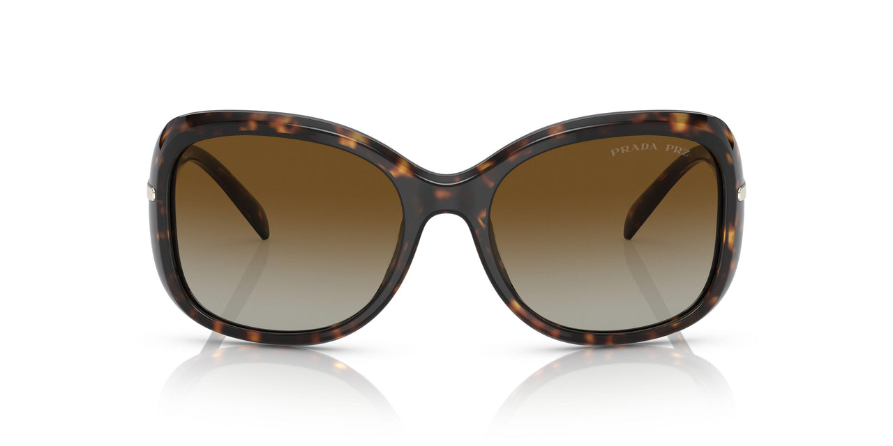 2AU6E1 - Havana - Polar Brown Gradient