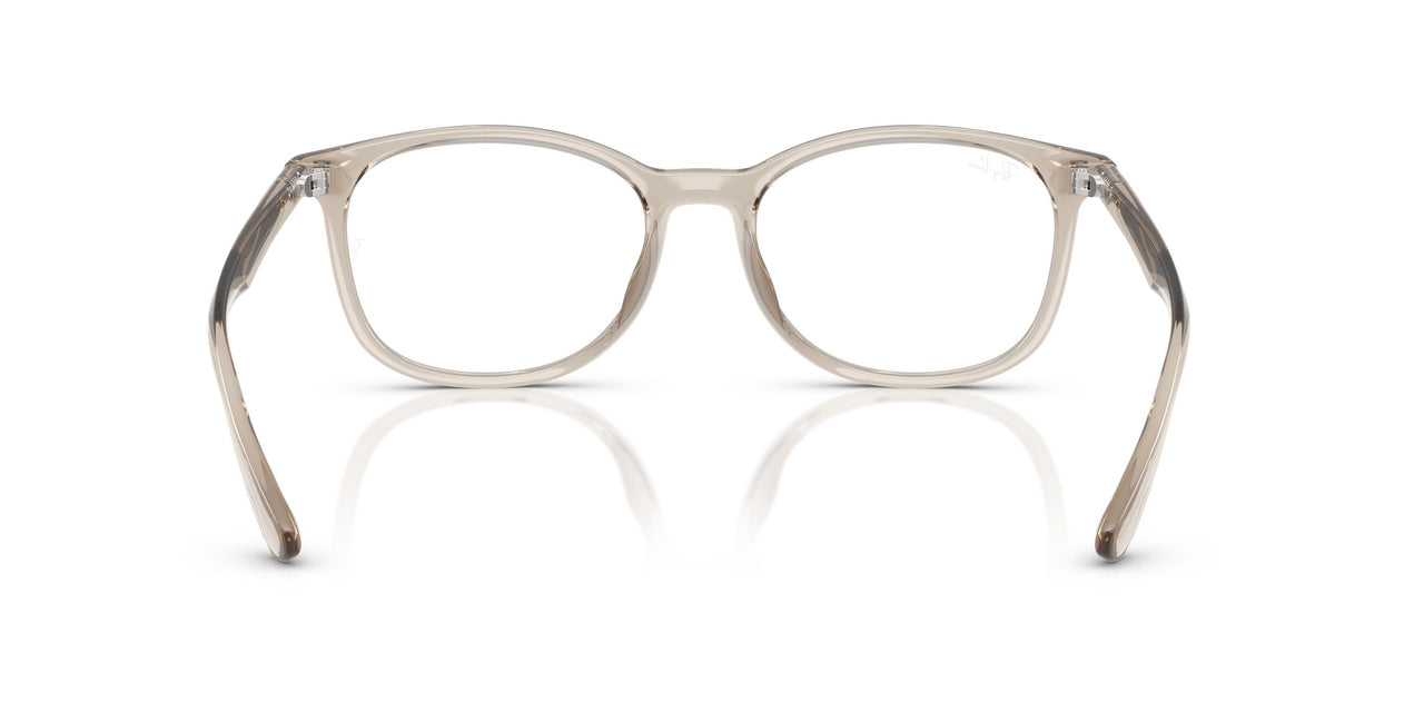 8271 - Brown - Clear