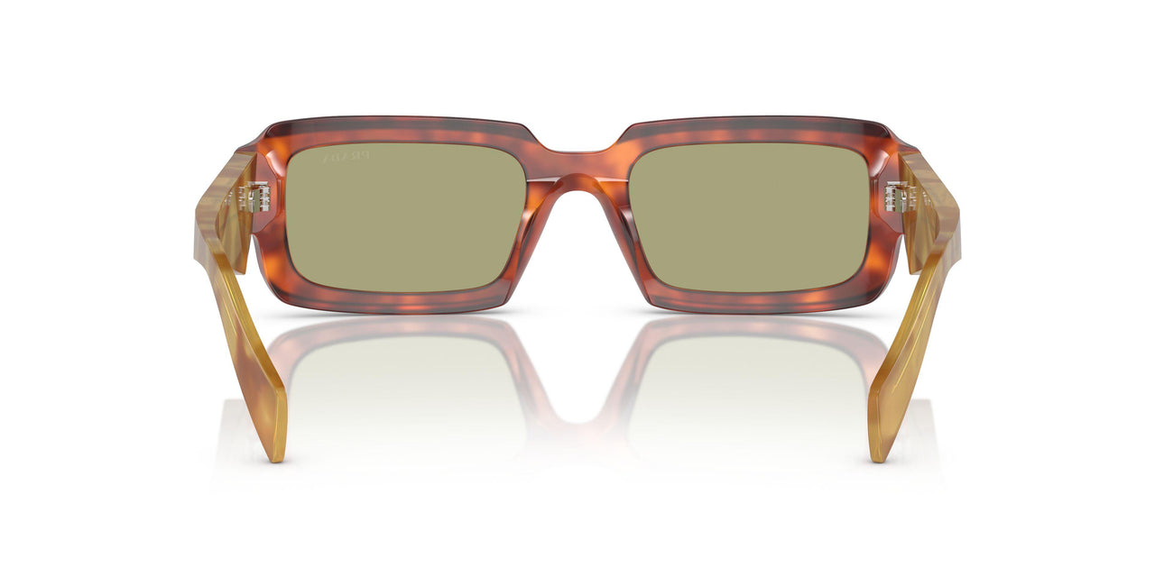 11P60C - Brown - Green