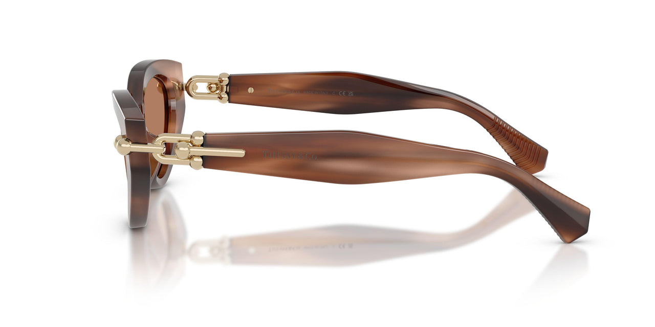 847573 - Tortoise - Solid Brown