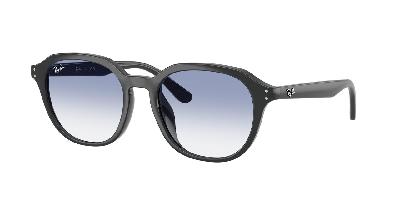 Ray-Ban 4459D Sunglasses