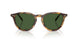 633971 - Tortoise - Bottle Green