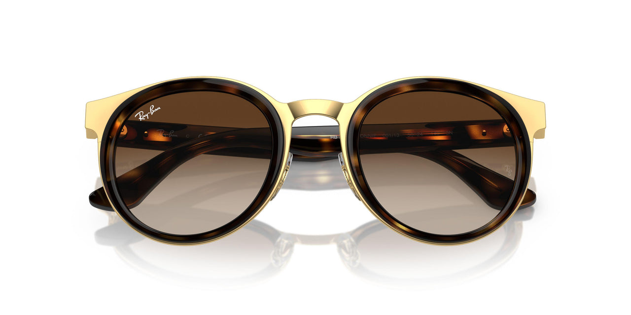 001/13 - Tortoise - Brown