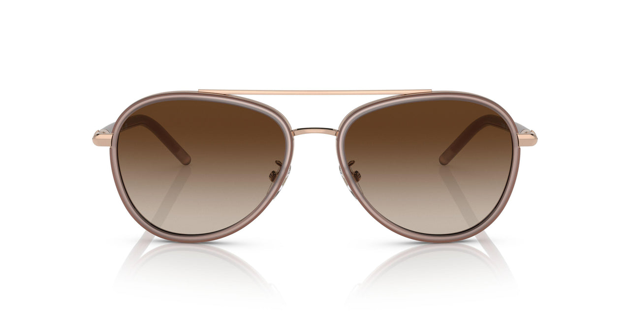 332313 - Pink - Brown Gradient