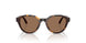 502673 - Tortoise - Dark Brown