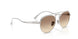319/13 - Tortoise - Gradient Dark Brown