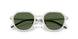 301571 - Silver - Dark Green