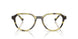 4029L0 - Green - Olive Gradient